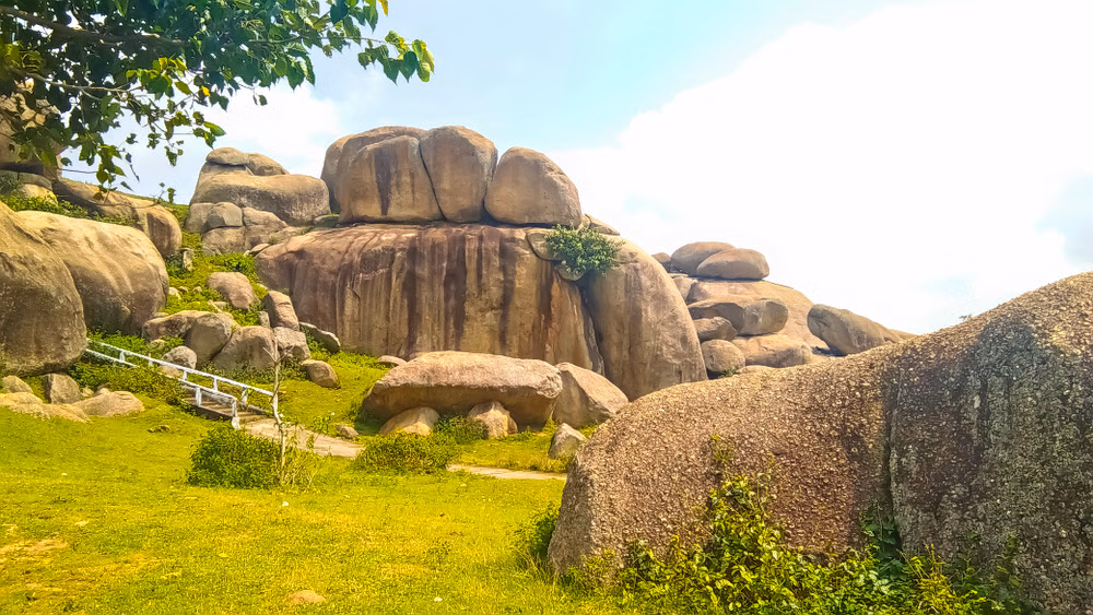 Rock garden